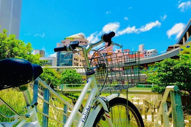 Okinawa Hip-hop Bus A Course Tour｜Churaumi Aqualium,Kori Island - Traveler Experiences