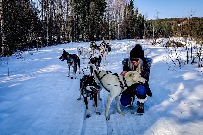 One Hour Experience Dog Sledding - Cancellation Policy