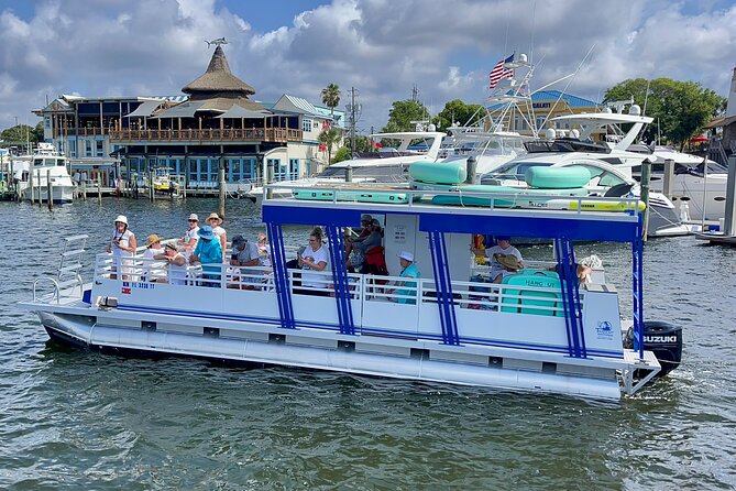 One Hour Harbor Shared Tour Review - Insights on Dolphin Watching Experiences