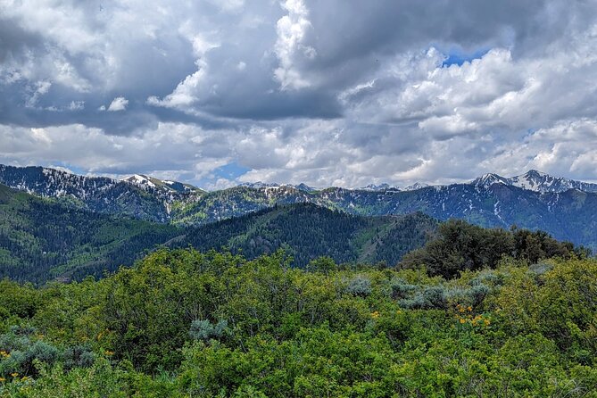 Park City Hiking Activity With Local Guide - Whats Included in the Experience