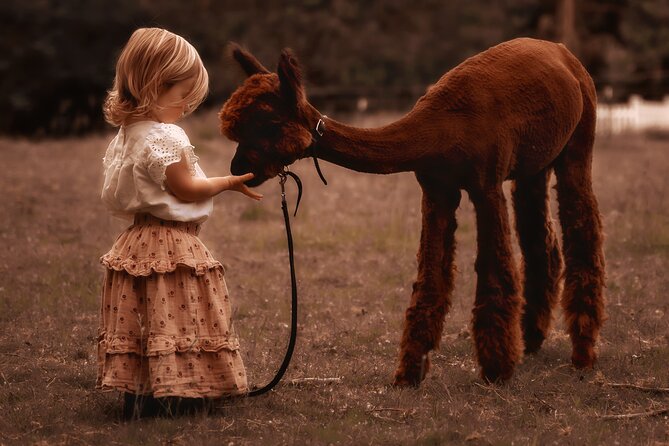 Photoshoot With Alpacas and Farm Experience Near Seattle - Cancellation Policy and Booking Flexibility