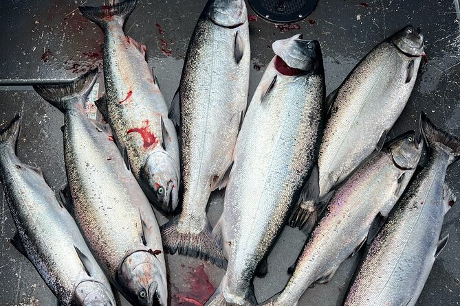 Premium Salmon Fishing - 6 Hours for Cruise Ship Guests - Accessibility and Restrictions