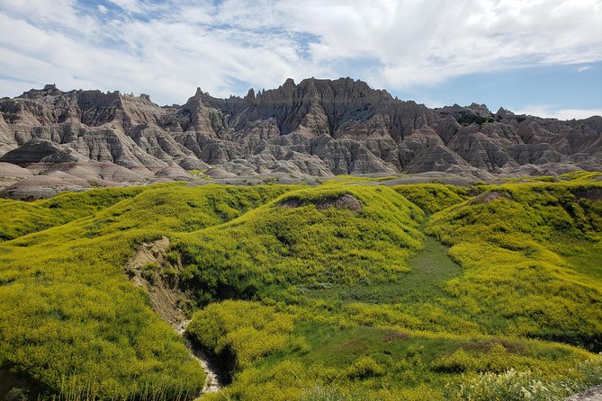 Private 5 Hour Badlands Tour With Local Experts - Health and Safety