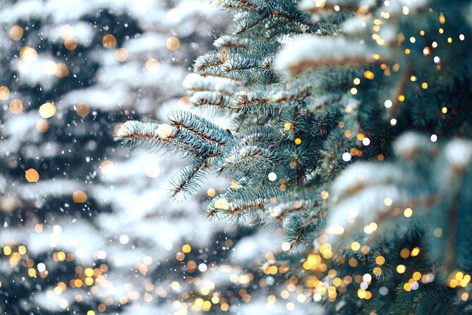 Private Enchanting Nashville Christmas Lights Tour - Additional Tour Information