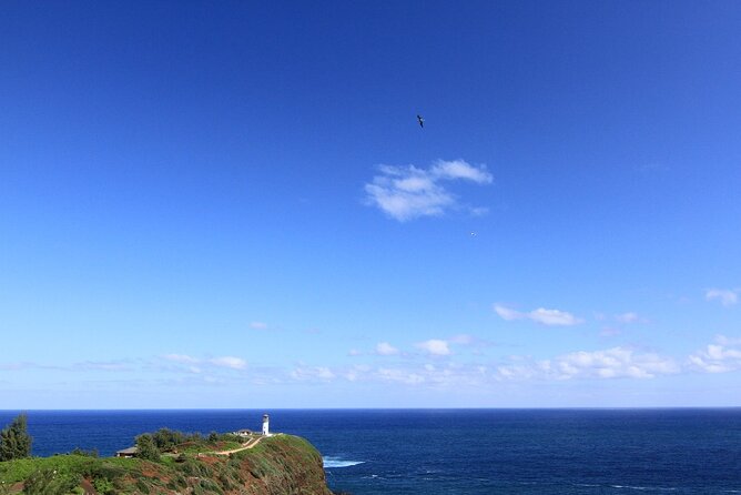 Private Kauai Island Tour : Waimea Canyon, Kalalau Lookout + More - Accessibility