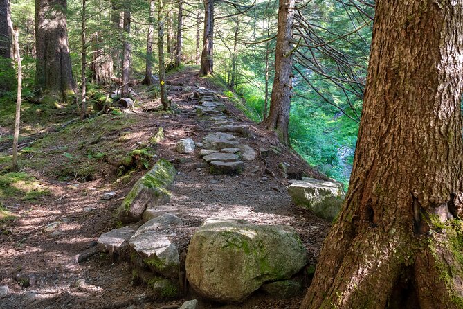 Private Ketchikan Mountain Lake Extended Trek to Alpine Overlook - Included Gear and Amenities