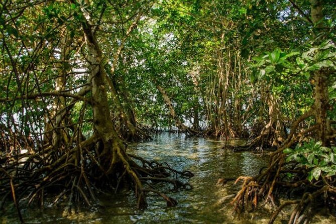 Private Key West National Wildlife Refuge Eco Trip - Participation Information