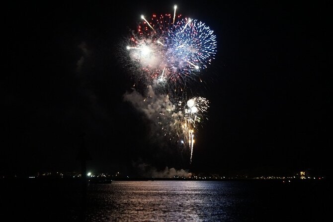 Private Sunset and Fireworks Dolphin Tour (6 People Max) - Accessibility