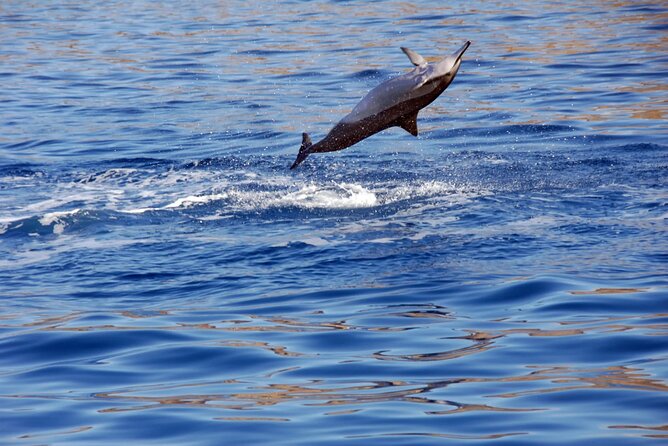 Private Sunset Snorkel and Dinner Cruise in Oahu Charter - Meeting and Pickup Information