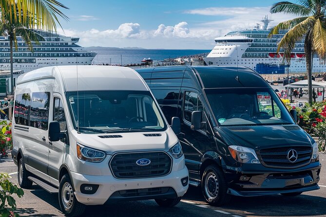 Private Transfer From Cruise Terminal and Oahu Hotel and Airport - Accessibility and Participation