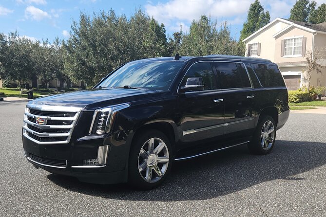 Private Transfers From Disney Hotels to Port Canaveral - Accessibility and Participation