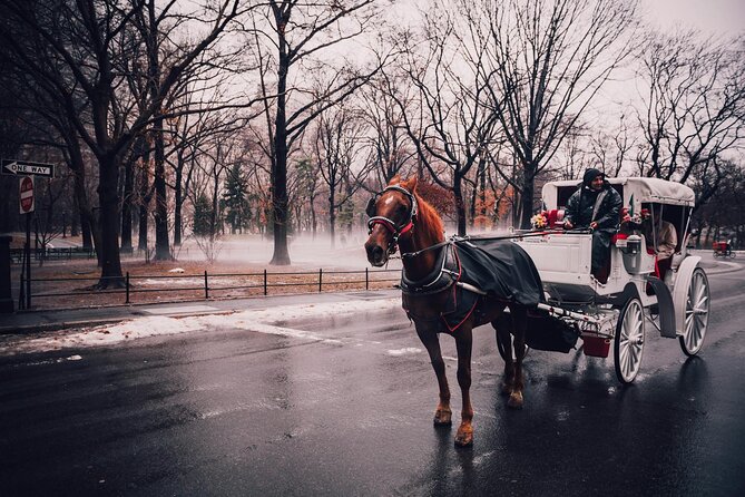 Private Walking Tour of New York With Metro - Inclusions and Additional Information