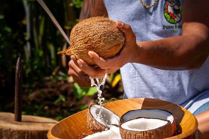 Pueo Farm Private Tour - Upcountry Maui Hawaii - Accessibility and Participation
