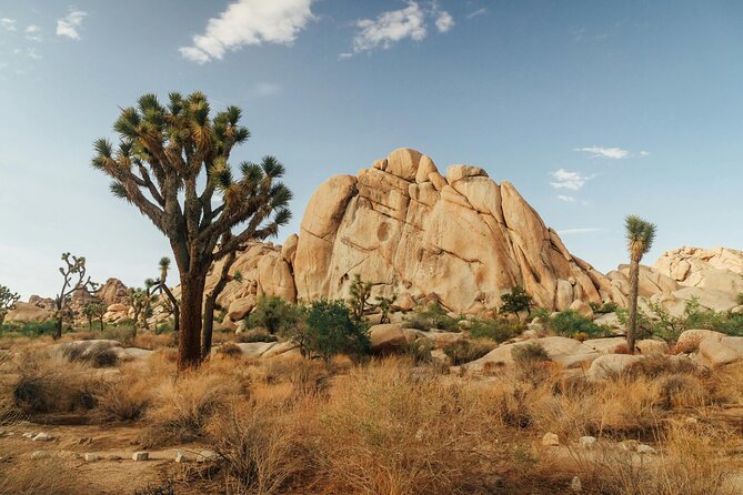 Red Rock Canyon & Calico Basin Self Guided Audio Tour - Confirmation and Availability