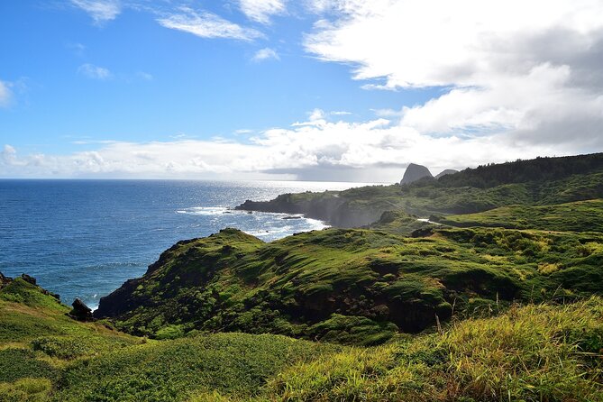 Road to Hana Full Day Tour Review - Accessibility and Suitability for Travelers