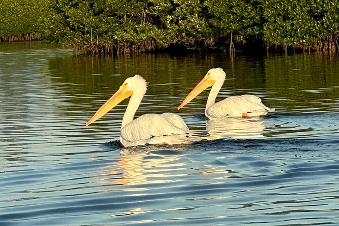 Robinson Preserve Nature Walk Eco Tour - Booking Details