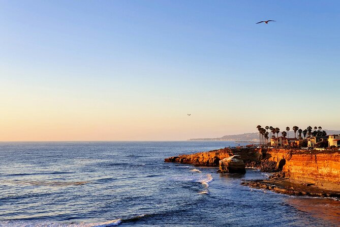 San Diego Private Highlights Tour With Daily Chauffeur - Accessibility and Participation