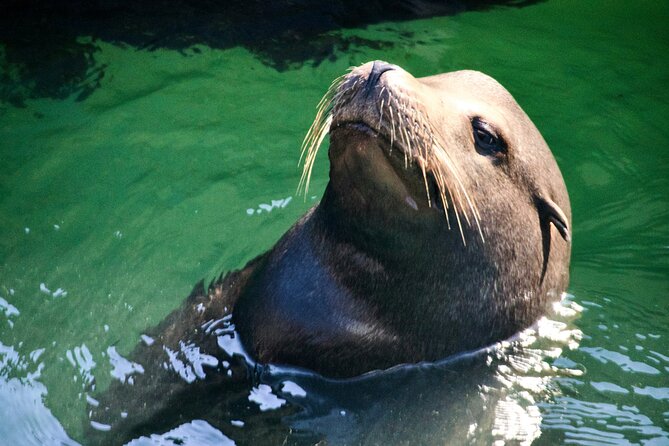 San Francisco Full Day Small Group Tour - Included Amenities