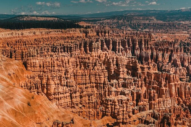 San Francisco to Yellowstone and Las Vegas 7-Day Tour - Meeting and Pickup