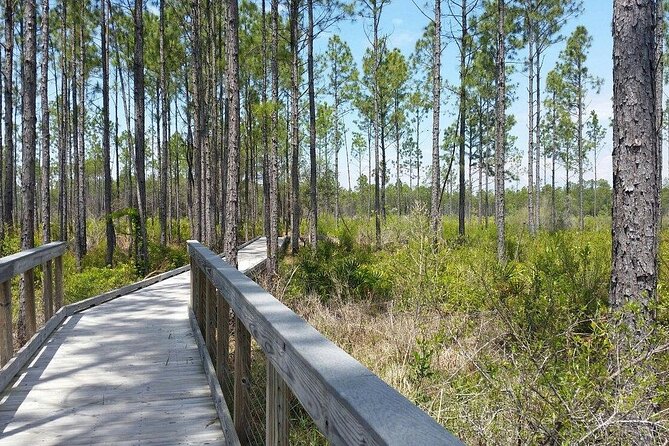 Self Guided E-Bike Tour of Panama City Beach - Health and Safety Guidelines