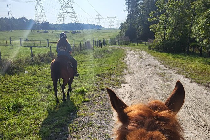 Shaded Trails Horse Ride - Accessibility and Recommendations