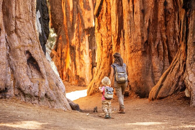 Shaka Guide: Sequoia National Park Audio Tour Guide - Highlights Along the Route