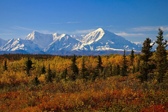Shared Fairbanks to Denali National Park Entrance Transport - Pickup and Drop-off