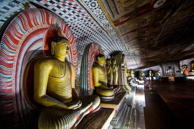 Sigiriya Lion Rock & Dambulla Tour Review - Pickup and Transport Services Overview