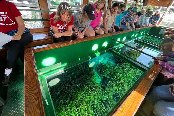 Silver Springs and Glass-bottom Boat Tour Review - What to Pack for the Tour