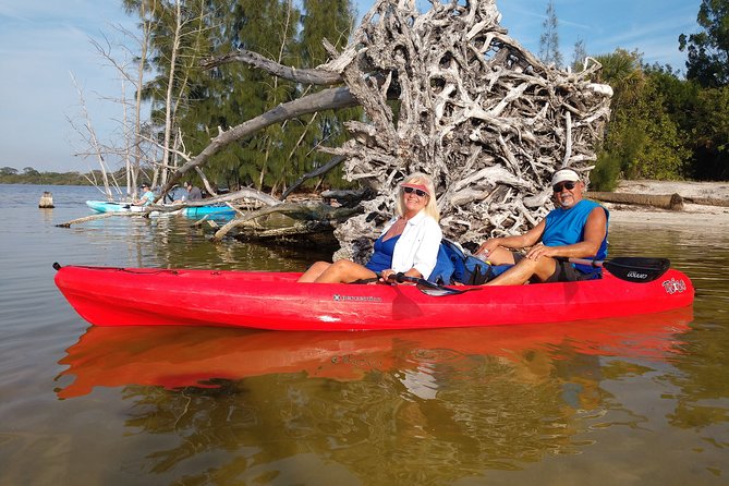 Single Kayak Rental Review: Manatees and Dolphins - Kayaking in Indian River Lagoon