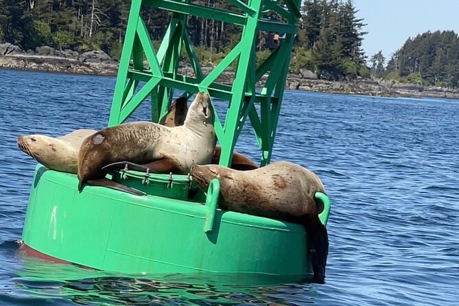 Sitka'S Private Wildlife Whale Adventure for 6 W/Transportation - Accessibility Information for All Guests
