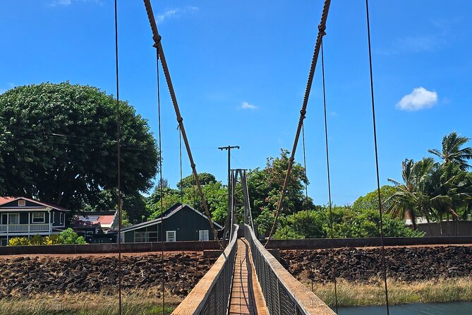 Small Group One Day Trip Kauai Island Review - Tour Schedule and Timing