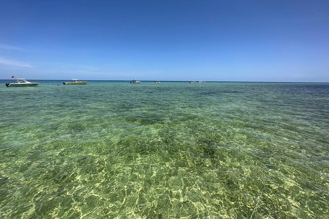 SNORKELING and SANDBAR ADVENTURE! - Prepare for an Unforgettable Excursion