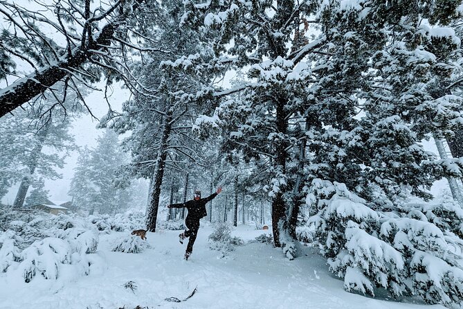 Snowshoe Tour Big Bear Lake Review - What to Expect During the Tour