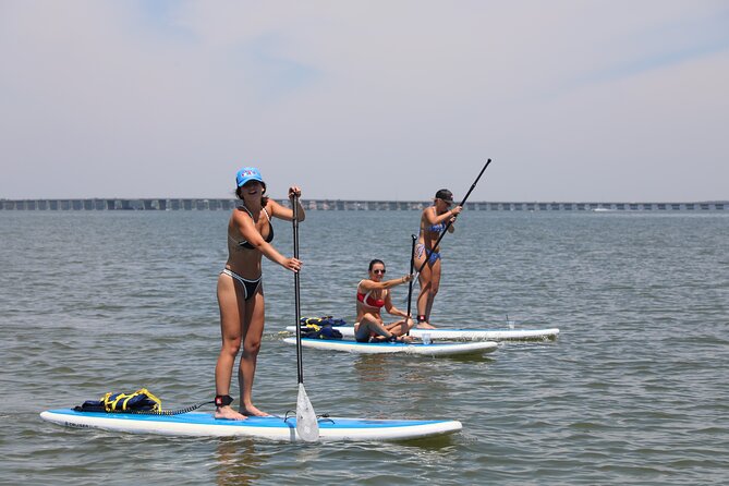 Stand-Up Paddleboard Rentals Review in Ocean City - What to Expect During Your Paddleboarding Adventure