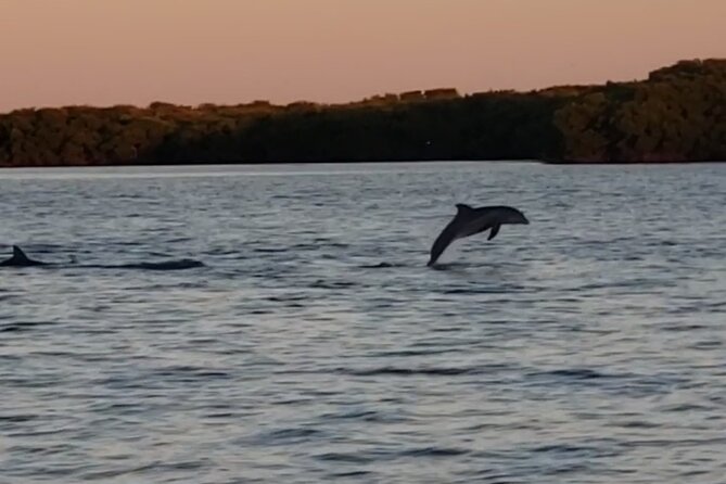 Sunset Cruise to Johns Pass Review - Accessibility Features of the Cruise