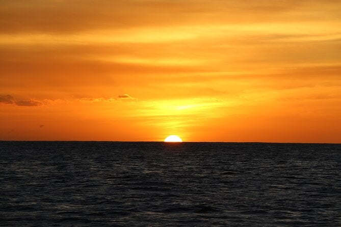 Sunset Dolphin Watch and Snorkeling Cruise Review - Insights Into the Hawaiian-Style Buffet Dinner
