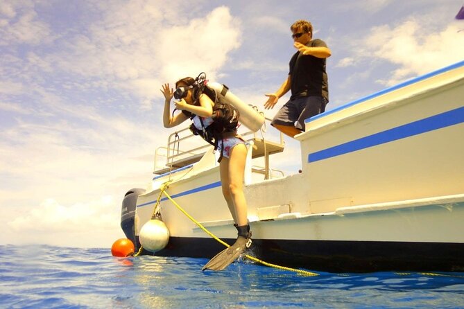 The Original Tiger Shark Challenge - Inclusions
