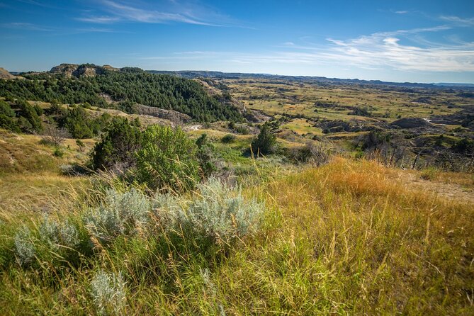 Theodore Roosevelt South Unit Audio Tour Review - Exploring the Flexible Routes and Itineraries