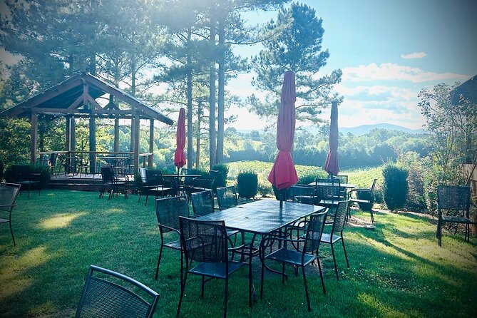 Three Vineyards Half Day Private Wine Tour Review - Tasting Adventures at Parker-Binns Vineyard