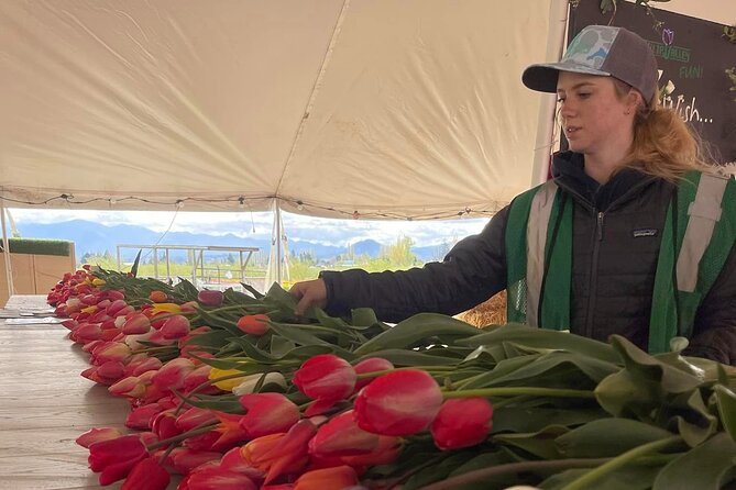 Tulip Valley Farms U Pick Experience - Included Amenities