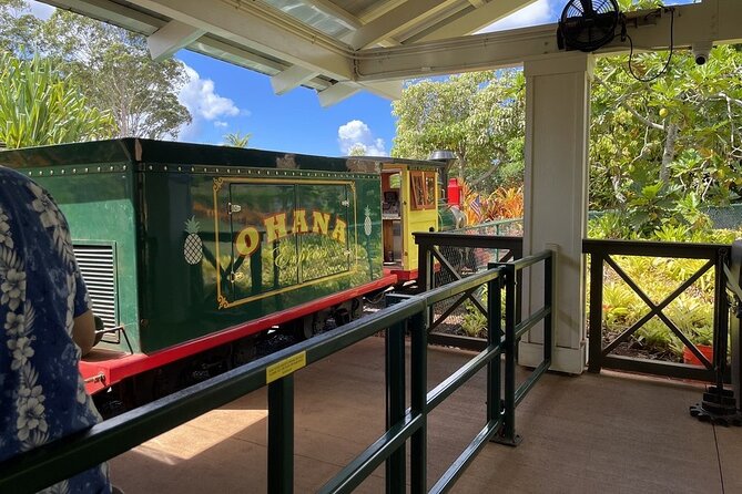 Turtle Snorkeling and Dole Plantation Tour Review - A Visit to Dole Plantation