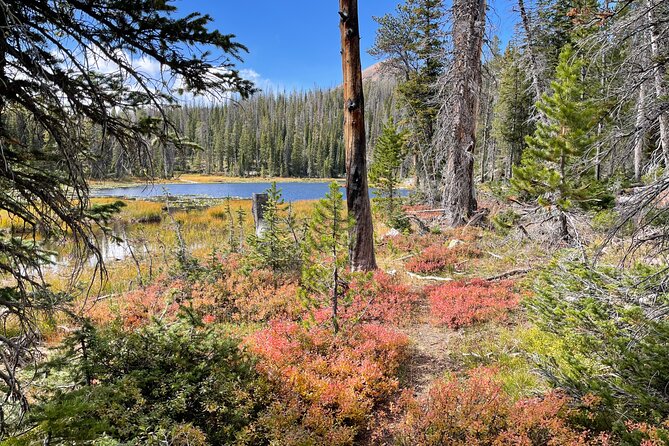 Utah Mountain Backcountry Day Trip Review - Pickup and Transportation Arrangements