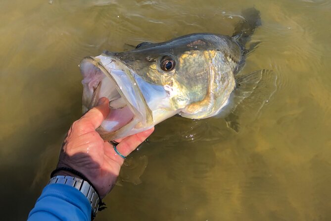Vero Beach Inshore Fishing Guide Service - Scheduling and Availability