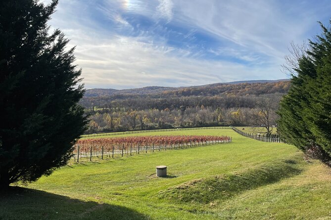 Virginia Winery Excursion by Luxury Vehicle Three Wineries - Inclusions and Exclusions