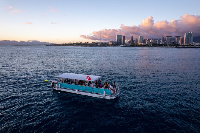 Waikiki Whale Watching Cruise - Accessibility and Participation