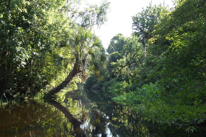 Wekiva River Kayak Tour Review - What to Expect: Meeting Point and Schedule