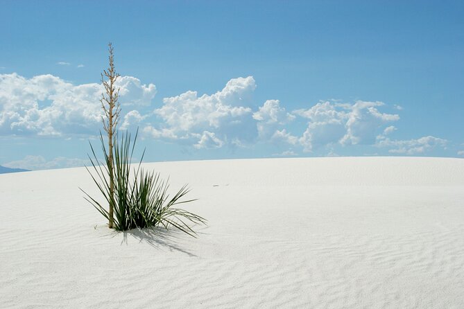 White Sands National Park Audio Tour Guide - Booking Process