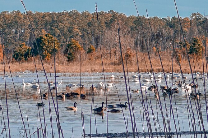 Wildlife Photo Safari - Embarking on the Wildlife Journey