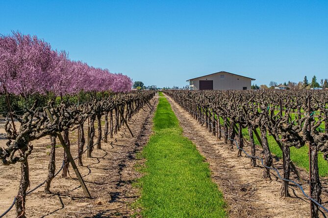 Wine Tasting Audio Tour - Lodi California - Scheduling and Meeting Details